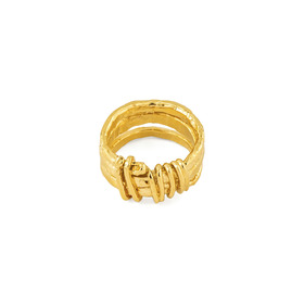 gold-plated Saxon ring