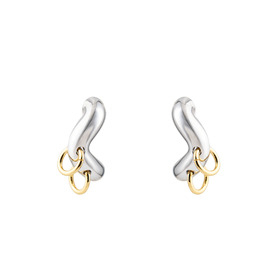 Silver earrings with gold rings