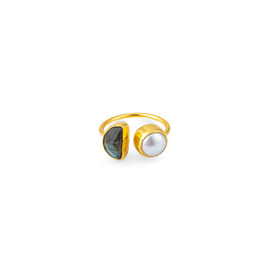 gold-tone ring with dark stone and white mother of pearl