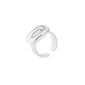 Nicol ring with silver coating