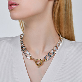 bicolor asbury chain necklace