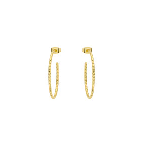 Gold-plated Amazonia Ring Earrings